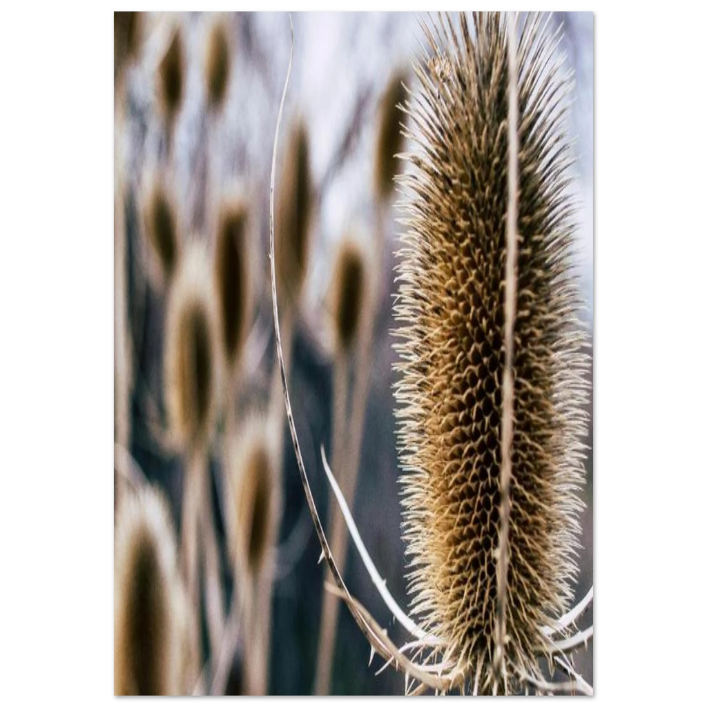 b6676682-4f63-425e-87ed-5a8c4db44c11