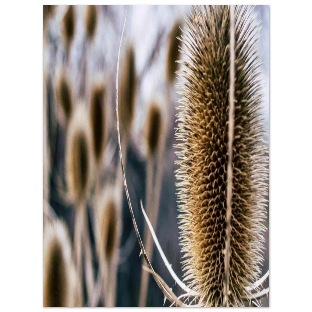 d43e74b8-70c6-4c1e-9266-3581a181e56f