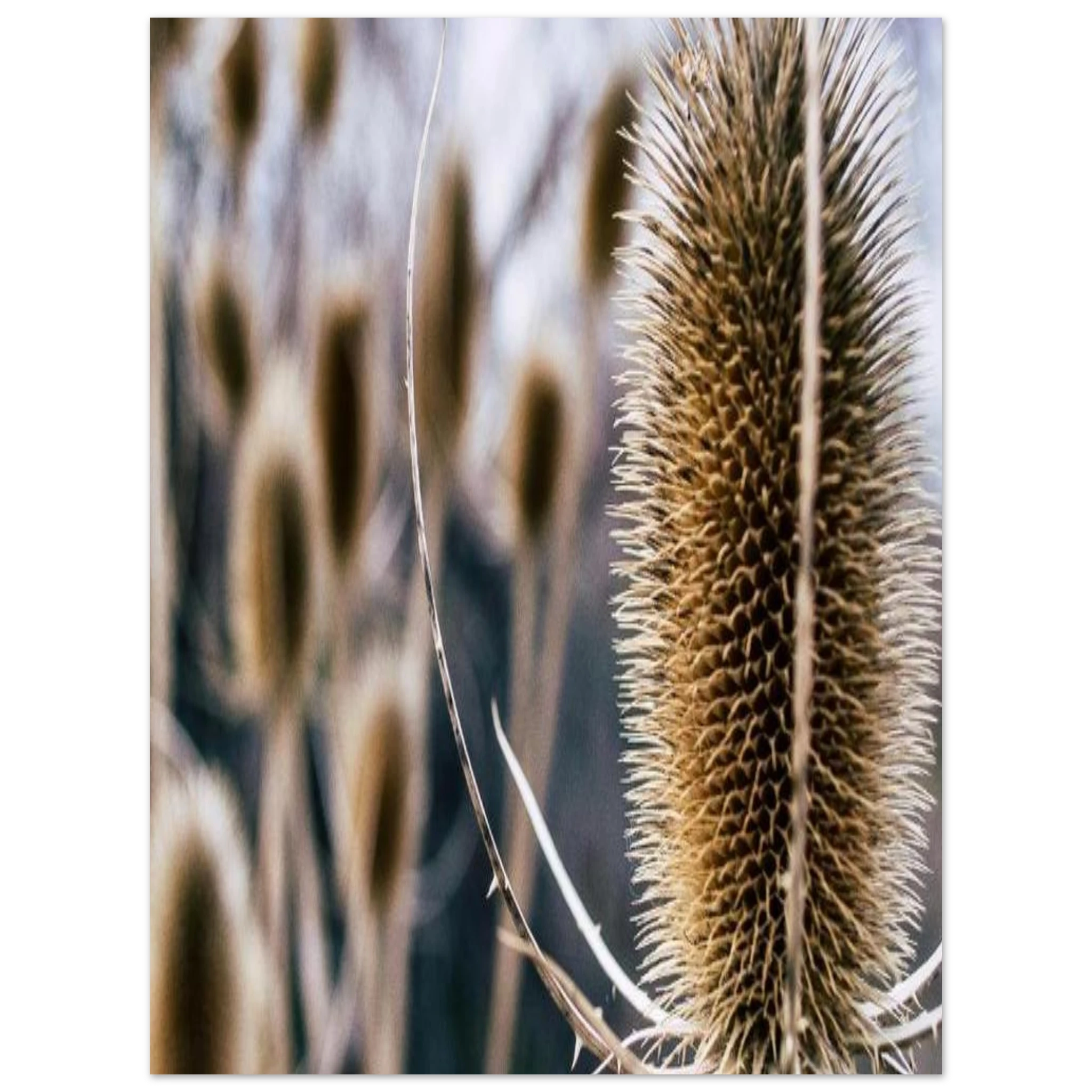 d43e74b8-70c6-4c1e-9266-3581a181e56f